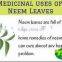 Terra Pure Neem Oil