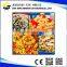 Automatic Industrial Macaroni & Spaghetti, Italian Pasta Production Line