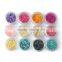 12 Colors Nail Art 3d nail art decorations Powder Crushed Sea Shell glitter Tips