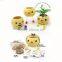 Wholesale baby christening gifts DIY mini bonsai handmade birthday gifts , wholesale wedding gifts