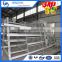 Alibaba hot selling in South Africa chicken cage,chicken layer cage in chicken farm