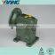 WPDS 70 Ratio From 10 to 60 IEC Flange Worm Gearbox