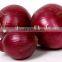 Hot Sale fresh vegetables ,fresh Red Onion with good Quality