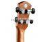 24 inch solid ukulele spruce china ukulele manufacturers (UK24-70S)