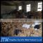 JTM-Roofing nails BWG9X2.5" 50kgs hessian cloth export to Kenya market