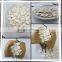 GWS snow white pumpkin seeds shine skin pumpkin seeds roasting pumpkin seeds