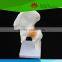 High quality Medical teaching human Life-size hip joint with ligaments