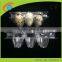 Custom printed Egg Tray Plastic Carton clear plastic Quail egg cartons for sale
