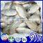 Frozen black tilapia size 500-800