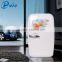 Welcome Wholesales High Grade Cooler and Warmer Box Fridge 20L Mini Freezer Fridge 220/12V Car Fridge
