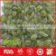 Green red black and golden raisin for wholesale