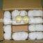 2015 fresh ya pear packing in carton with good quality