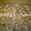 IOF Sweet Peeled Chestnut