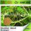 BNP GMP ISO supplier dodder seed extract powder---BNP