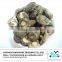 Dried shiitake mushroom extract for sale