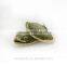 china white pumpkin seeds price
