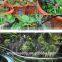 DIY Micro Drip Irrigation System Self Plant Watering Garden Hose