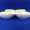 wholesale porcelain food divider plate
