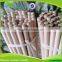 guangxi factory wholesale Tapered end garden stake for plant support