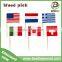 Food Promotional Custom Flag Toothpick