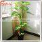 Hot sales artificial Cycas palm bonsai for indoor decoration