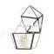 terrarium geometric glass terrarium wholesale