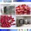 Good quality lyophilizer equipment for freeze dried roses