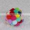 2020 New Design Rainbow Cat Plush Toy Ball with Bell Colorful Rolling Soft Cat Dog Training Playing Ball