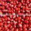 Organic adzukin beans