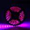 customized color Chinese factory christmas lights 12V led strip light