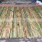 High Quality and Good Price Real Bamboo using for chair table decor furniture from Viet Nam distributor