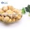 High Quality Bulk Chestnut IQF Peeling Frozen Chestnuts