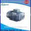 AC hydraulic motor