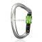 JRSGS Hot Sale D-Shaped Climbing Carabiner Locking Climbing Hook with Screwgate Snap Hook Clip for Hammocks, Camping S7104B