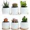 Flower Pots Owl Small Ceramic Factories Directly New Design Cheap Mini Cute Nursery Animal Succulent Plants, Small Plants White