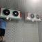 Frozen cold air Ice room,Sub-zero cold storage,Cold Storage on Zero