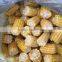 2016 new crop frozen whole sweet corn stick