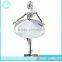Beautiful Women Ballet Dancer Brooch
