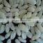 High quality Man-made rice process equipment