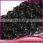 2015 Hot Selling Kinky Curly Hair Weft Noble Kinky Twist Hair 100% Virgin human hair