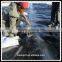 HDPE black Geomembrane for landfill 1.5mm/27Mpa lowest price