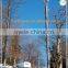 Hot dip galvanized monopole microwave gsm antenna tower
