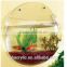 High quality acrylic portable fish tank mini glass fish bowl