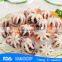 Frozen baby octopus
