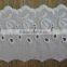 High Quality Embroidery Embroidered Cotton Lace Trim