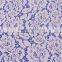 French Jacquard beautiful cotton knit fabric for evening dress