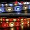 Shenzhen factory RGB+WW / RGB+W / RGB+NW DC12V/DC24V SMD5050 Flexible RGBW led strip 2 years warranty