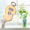 Fish Mini Weighing Length Scale With Hook