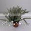 Artificial Bonsai tree plastic Cypress small potted plant for home/office decoration making