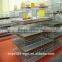 Automatic Brooder Chicken Cage Design For Poultry Chicken Farm